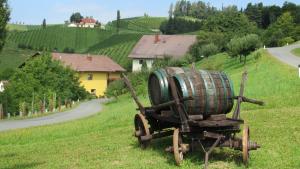 Fotografie z fotogalerie ubytování Pension Andrea v destinaci Sankt Peter im Sulmtal