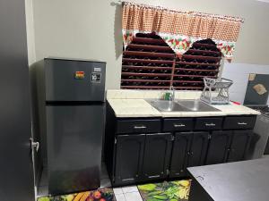 a kitchen with a refrigerator and a sink at Netfa's Hidden Gem in Kingston