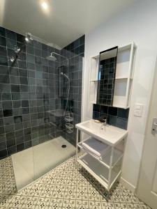 a bathroom with a sink and a shower at Gîte les 2 cygnes à Briare dans le Loiret in Briare +10 photos
