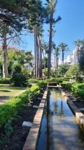 a pond in a park with palm trees at LAALCAZABA Garden in Marbella