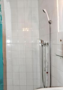 W łazience znajduje się prysznic i toaleta. w obiekcie Maison accueillante à Saintes-Maries-de-la-Mer, 110 m², climatisée. w Saintes-Maries-de-la-Mer