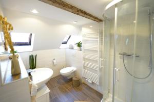 a bathroom with a shower and a toilet and a sink at Zentrale, gemütliche Dachgeschoss-Etage - 52qm - Altes Haus auf 2,5 Etagen exklusiv für Dich - mit 1 Schlafzimmer, Wohnzimmer und Rückzugsraum zum Verweilen - Küche, großes Bad, Netflix in Halle an der Saale