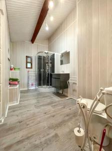 un ampio bagno con doccia e lavandino di Charmante maison de campagne avec jardin et barbecue a Piets-Plasence-Moustrou