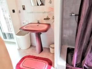 a bathroom with a pink sink and a shower at Appartement charmant à Villeneuve avec jardin in Villeneuve-dʼAveyron +30 photos