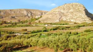 a mountain in the middle of a field with trees at Spacious Apartment in Montallegro with Stunning Views in Montallegro