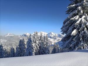 Apartment Panoramablick during the winter