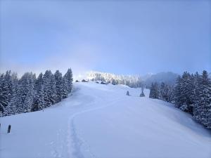 Apartment Panoramablick during the winter