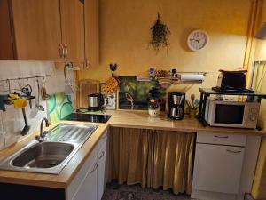 een kleine keuken met een spoelbak en een magnetron bij Ottos Ferienwohnung Goslar in Goslar