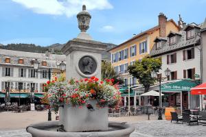a statue in a fountain with flowers in a town at Maison chaleureuse près des pistes de Barcelonnette - Cheminée in Barcelonnette