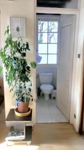 Un baño con inodoro y una planta en maceta. en Maison familiale avec piscine partagée à Moissac, jardin, en Moissac 10 fotos más