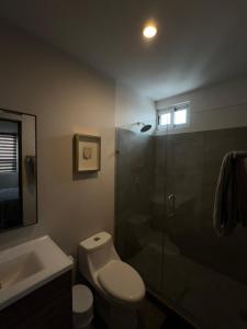 a bathroom with a shower and a toilet and a sink at Lujoso departamento en Monterrey in Monterrey