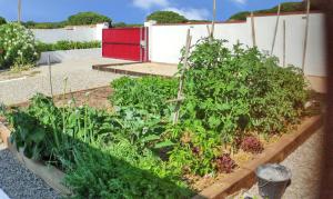 Vonkajšia záhrada v ubytovaní Sunny villa with private pool in Chiclana de la Frontera