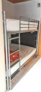 レ・キャローズ・ダラッシュにあるStudio accueillant à Les Carroz, 27 m², vue montagneの二段ベッドが備わるドミトリールームのベッド1台分です。