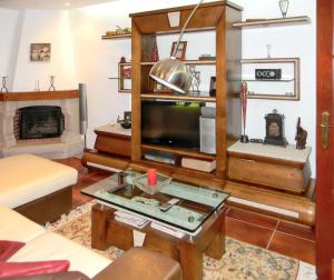 a living room with a tv and a fireplace at Welcoming villa in Santa Leocádia, private pool 475 m² in Feijoal