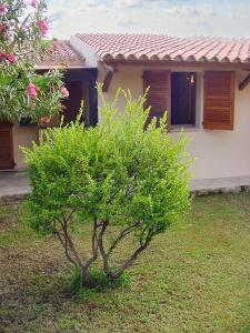 Κήπος έξω από το Charming house with terrace & garden - Loiri Porto San Paolo