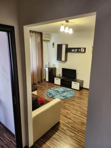 un salon avec un canapé et une télévision dans l'établissement Apartament Cochet Cozy Gara De Nord Metrou, à Bucarest