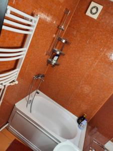 une salle de bain avec baignoire et toilettes dans l'établissement Apartament Cochet Cozy Gara De Nord Metrou, à Bucarest