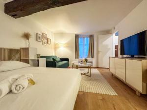 ein Schlafzimmer mit einem großen Bett und einem Fernseher in der Unterkunft Le Studio Green - 2 people in Chartres