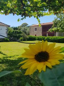 Een tuin van Casas da Quinta da Cancela