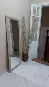 Una habitación con dos espejos y un jarrón con una planta. en Departamento San Martín I, en Paso de los Libres