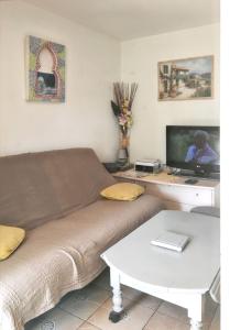 a living room with a couch and a tv at Charmant appartement avec piscine partagée à Agde in Cap d'Agde +11 photos
