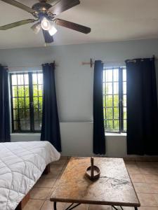 a bedroom with a ceiling fan and two windows at Suites Chingón in Guadalajara +78 photos