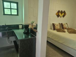 a bedroom with a bed with a sink and a counter at Sitio Azeite com Pimenta in Itabirito