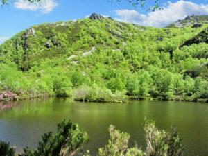 einen See vor einem Berg mit Bäumen in der Unterkunft Charming apartment with pool in San Antolin 30 m² and garden in San Antolín + 3 Fotos