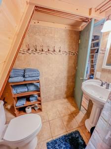 un bagno con doccia, WC e lavandino di Lake Life, Hocking Hills, Hot Tub, Fireplace, Pond a Rockbridge Altre 34 foto