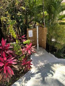 Foto de la galería de El Kaoba en Cabarete