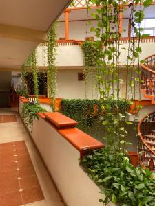Ein Garten an der Unterkunft Hotel Báez Carrizal
