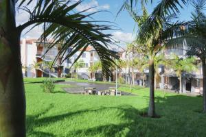 un parco verde con palme e edifici di Chic Apartment Ribeira Grande 60 m² + balcony a Ribeira Grande