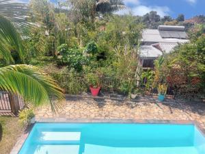 a blue swimming pool in a yard with plants at Maison cosy à Ravine des Cabris avec piscine partagée in Ravine des Cabris