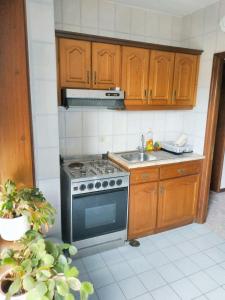 a kitchen with a stove and a sink at Spacious Apartment in Espinho with Fireplace, 87 sqm in Espinho