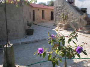 Afbeelding uit fotogalerij van Casas da Quinta da Cancela in Balugães