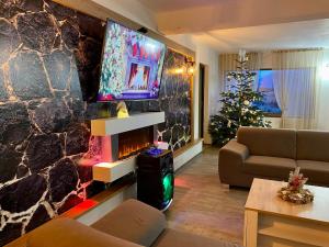 a living room with a fireplace and a tv at Mountain View PM in Poiana Mărului