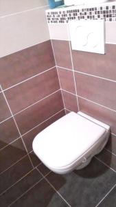 a bathroom with a toilet on a tiled floor at Studio confortable à Taninges, 25 m² avec vue sur jardin in Taninges