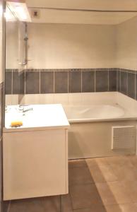 Et badeværelse på Appartement lumineux aux Abymes, 56 m², terrasse et parking