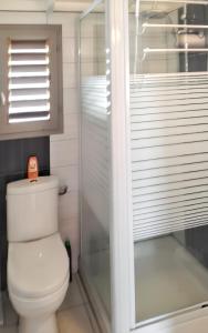 a bathroom with a toilet and a glass shower at Maison charmante Deshaie + Vue in Deshaies