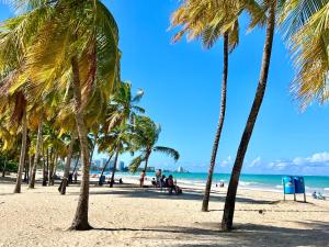 a group of palm trees on a beach with the ocean at Private Apartment at Maré St Clair Hotel in San Juan +54 photos
