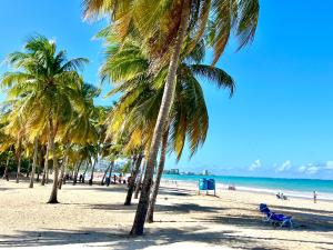 a group of palm trees on a beach with the ocean at Private Apartment at Maré St Clair Hotel in San Juan
