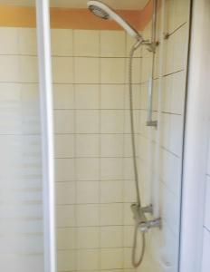 a shower with a shower head in a bathroom at Appartement charmant à Jebsheim avec terrasse et jardin in Jebsheim