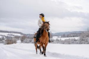 a woman riding a horse in the snow at Przystanek Ropienka Leśniczówka in Ropienka