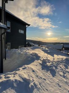 a snow covered yard with the sun setting in the background at Apartment Sjusjøen in Sjusjøen
