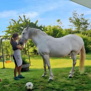 a woman standing next to a white horse next to a soccer ball at Comfortable apartment in Ardanué - 55 m² - Parking available in Ardanué