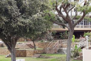A garden outside Comfortable apartment in Benalmádena 60 m² with pool