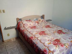 a dog laying on top of a bed at casa aconchegante e completa in Mongaguá +57 photos