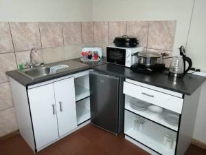 a small kitchen with a sink and a microwave at OrbanLife Lite Keetmanshoop in Keetmanshoop