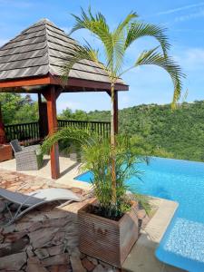 Bazén v ubytování Charmant Bungalow avec vue sur la mer à Marigot, 60 m², piscine. nebo v jeho okolí