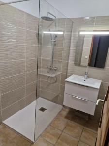 a bathroom with a shower and a sink at MAISON ALBA ROSSA 55 in Serra-di-Ferro